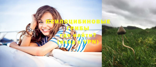 ПСИЛОЦИБИНОВЫЕ ГРИБЫ Арсеньев