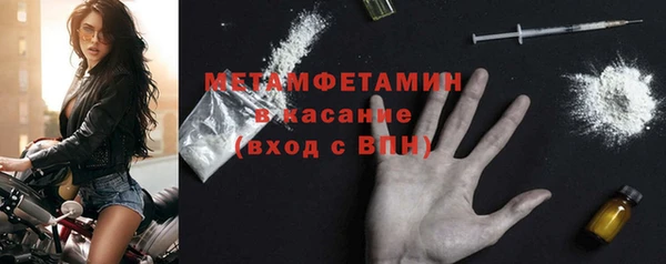 ПСИЛОЦИБИНОВЫЕ ГРИБЫ Арсеньев