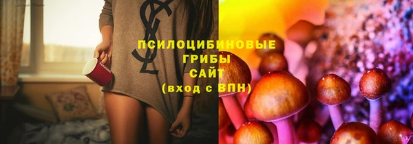 круглые Аркадак