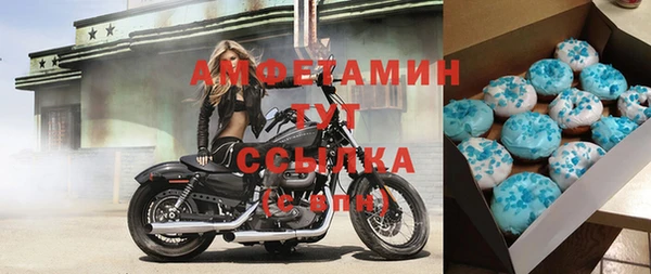 ПСИЛОЦИБИНОВЫЕ ГРИБЫ Арсеньев