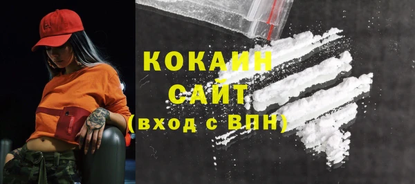 ПСИЛОЦИБИНОВЫЕ ГРИБЫ Арсеньев