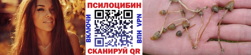 Псилоцибиновые грибы мицелий  Кирово-Чепецк 