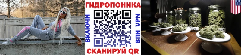 наркошоп  Кирово-Чепецк  Марихуана марихуана 